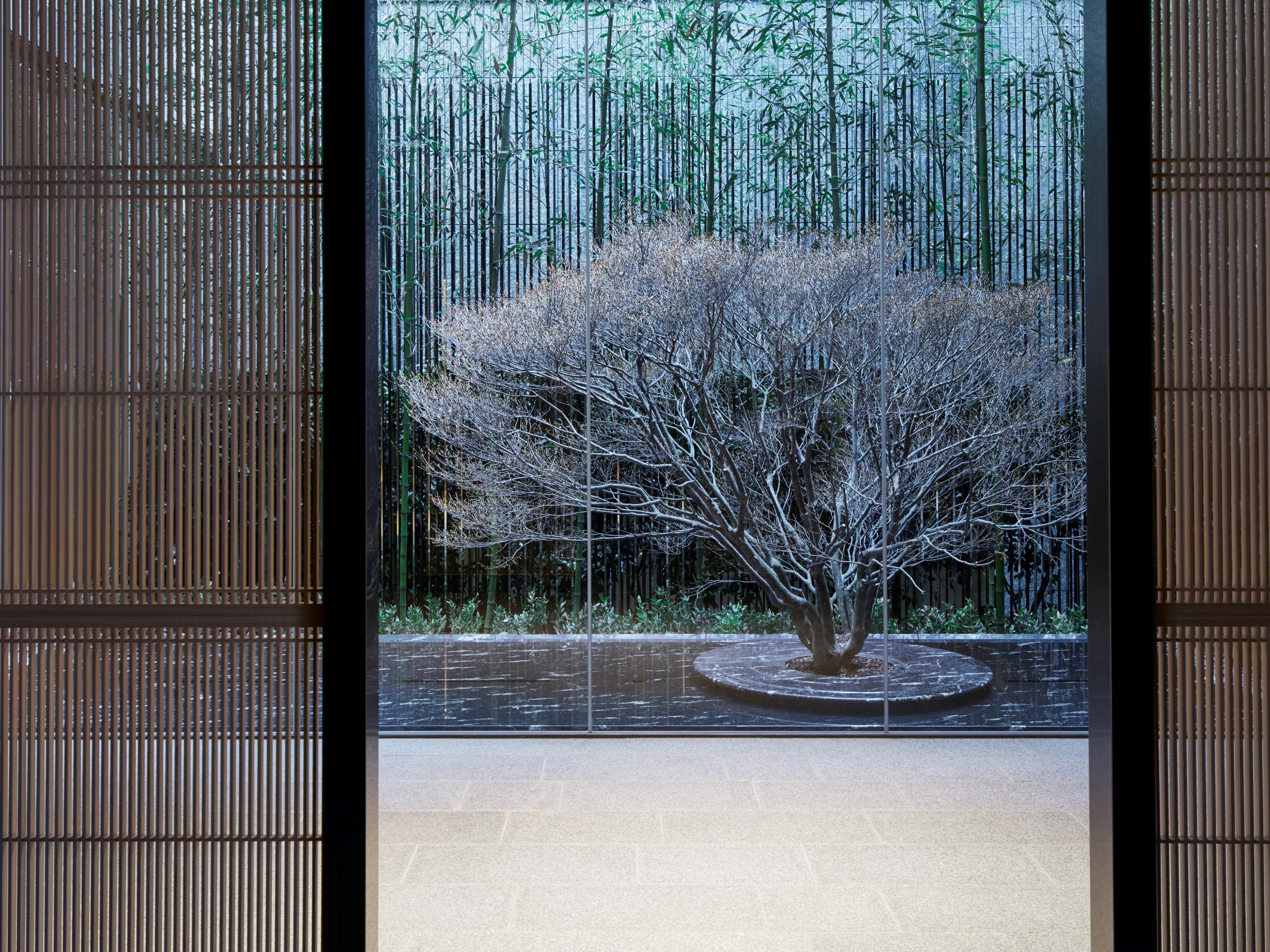 The Thousand Kyoto Eksteriør bilde A view of the garden from the house
